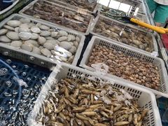 -渔民船说·北塘海鲜·天津菜·海肠捞饭(北塘古镇店)