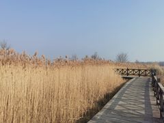 -野鸭湖国家湿地公园