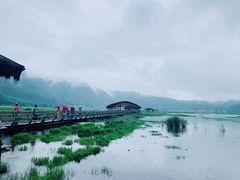 -腾冲北海湿地