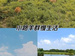 -良渚古城遗址公园