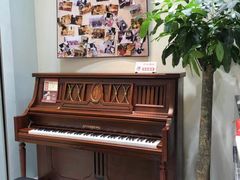-谈·PIANO(金唐新光界店)