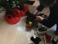 -秦美花卉(天朗·莱茵小城2期店)