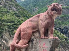 -丽江虎跳峡景区-售票处