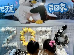 -海合安成都极地海洋公园