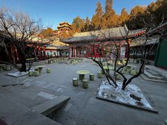 -宫事颐庭·老佛爷贵寿下午茶(颐和园店)