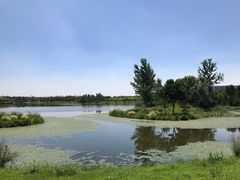 -东郊湿地公园