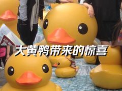 -海港城