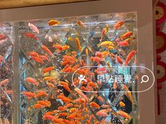 -永利澳门酒店
