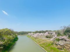 -上海海湾国家森林公园