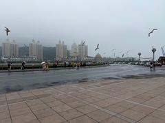 -星海广场