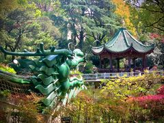 -申粤轩酒楼·三十年粤菜经典(丁香花园店)