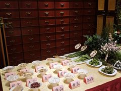 -钦善斋(武侯祠店)