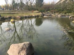 -秀丽东方