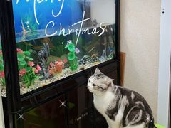 -百金通黄金回收首饰定制维修(珠江路总部)