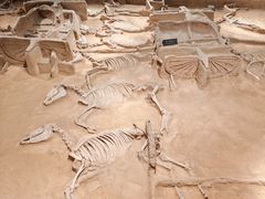 -洛阳周王城天子驾六博物馆