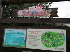 -田园东方蜜桃村的田野营地