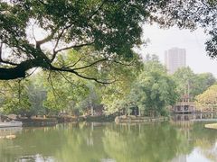 -晓港公园