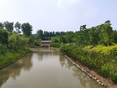 -上海浦江郊野公园-5号停车场