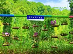 -神光山国家森林公园