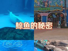 -海合安成都极地海洋公园