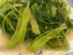 -新金田酒店·宴会厅