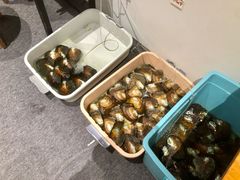 -十八字金银饰·拼豆·开蚌手工体验团建(君太百货店)