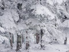 -硗碛藏寨·神木垒景区