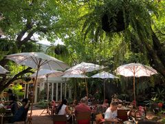 -Fern Forest Cafe