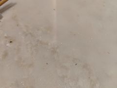 -南太湖山庄·四季轩&国风堂中餐厅
