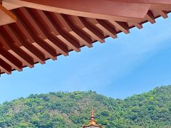 -深圳仙湖植物园