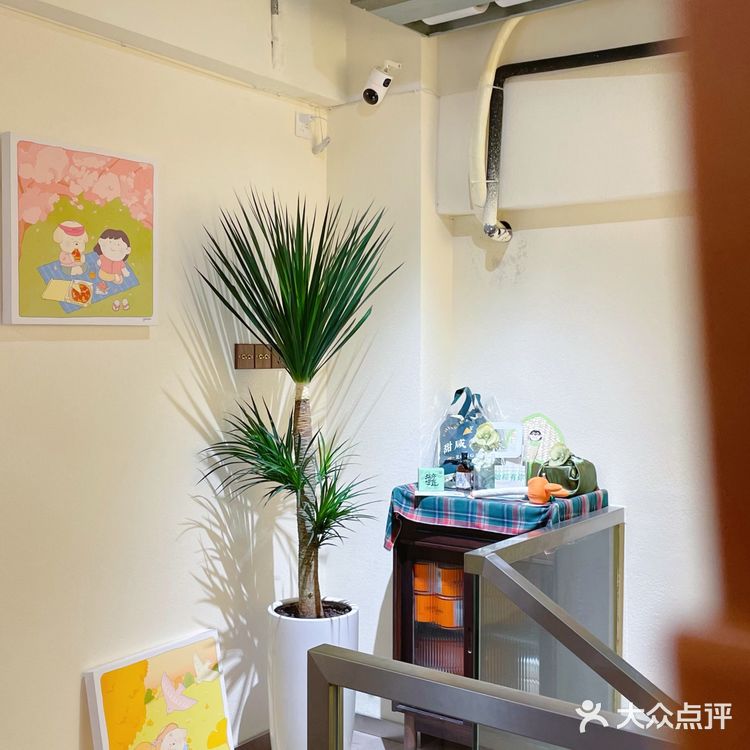 在珠海!!都市里的静谧慵懒咖啡店