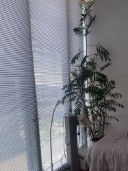-HYOUNG 禾漾·BTL官方美学中心