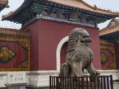 -北陵公园