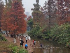 -重庆彩云湖湿地公园