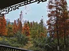 -重庆彩云湖湿地公园