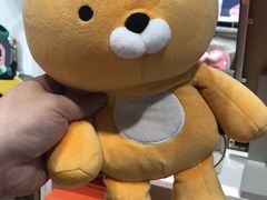 -KAKAO FRIENDS(弘大店)