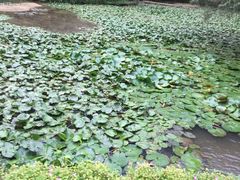 -广州市干部健康管理中心