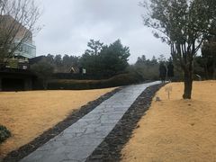 -雪绿茶博物馆