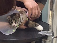 -中农大我爱我爱动物医院·核磁CT·猫病·24小时夜诊中心(石佛营店)