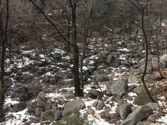 -尧山风景区
