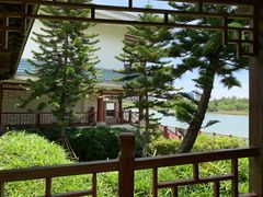 -五缘湾湿地公园