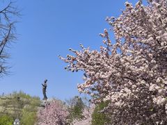 -百脉泉景区