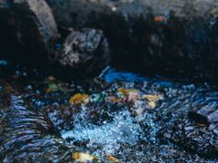 -北仑森林植物园