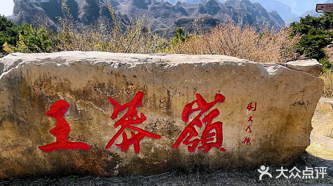 王莽岭风景区图片