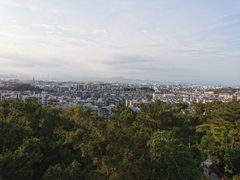-仙岳公园