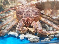-盒马鲜生(皇庭广场店)