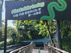 -圣淘沙天际线斜坡滑车