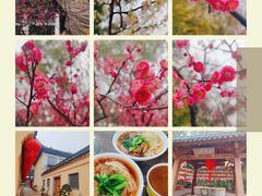 -无锡梅园公园