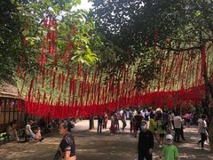 -西双版纳原始森林公园
