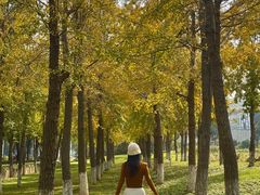 -东钱湖旅游度假区